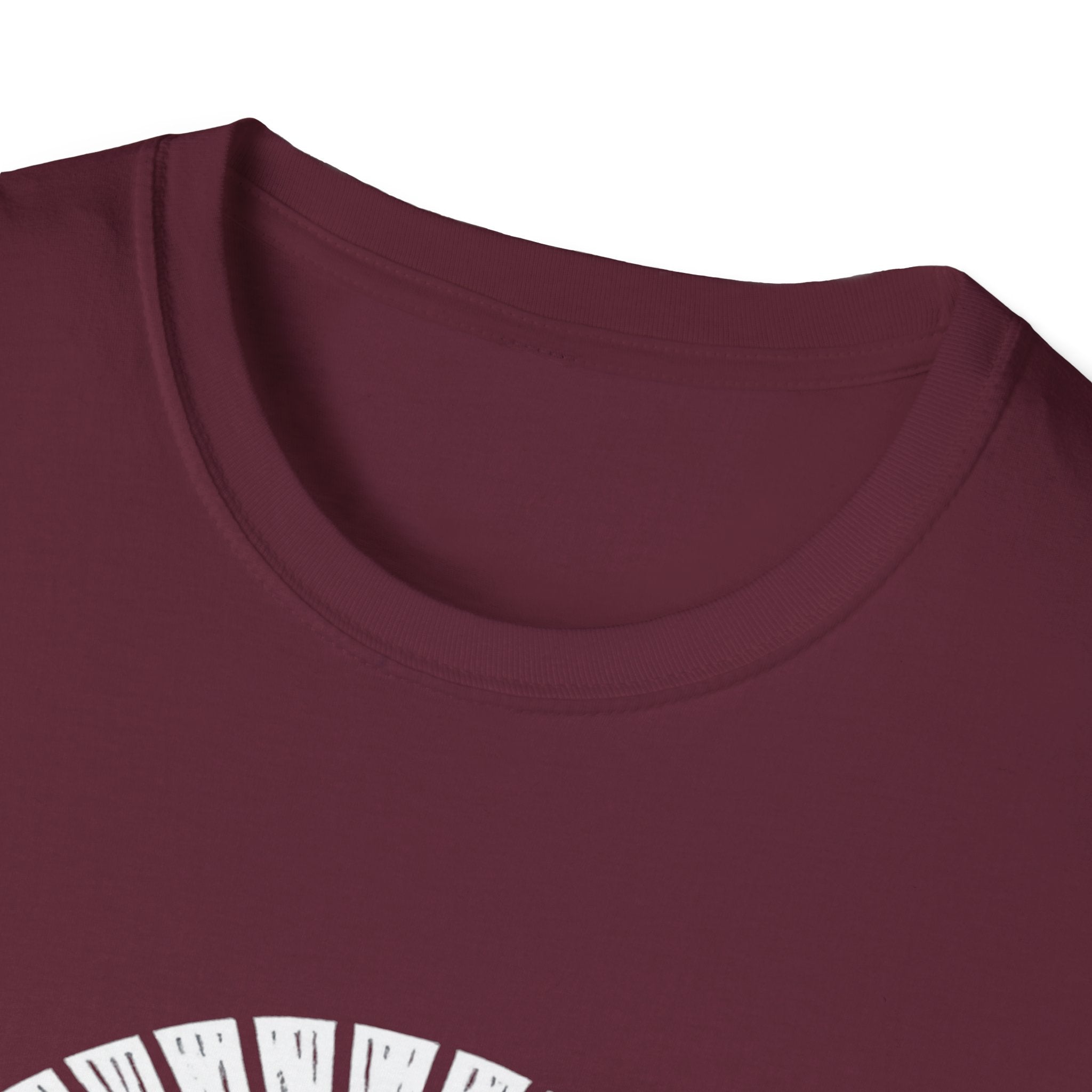 I Like Dragons And 3 People T-Shirt